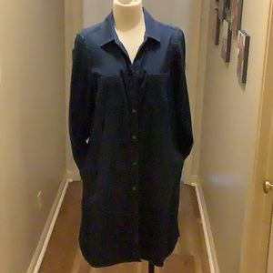JJill Denim Shirtdress